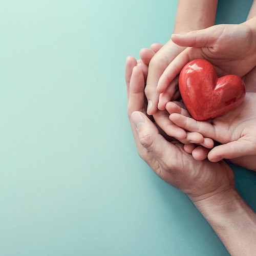 Family of hands cradling a red wodden heart on blue background